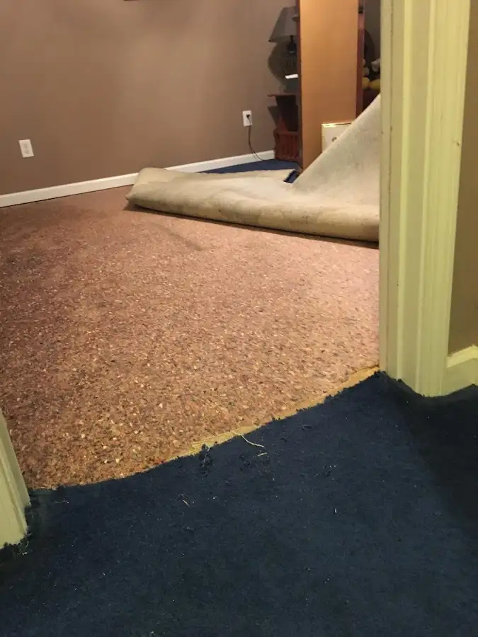 Carpet pad removal revealing water damage during Drying & Dehumidification in White Knoll
