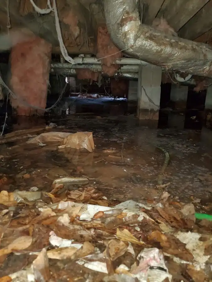 Crawl space flood assessment for Commercial Water Damage Restoration in White Knoll