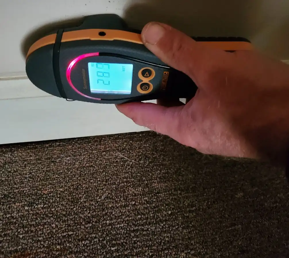 Moisture detection at baseboard during Mold Inspection & Testing in White Knoll